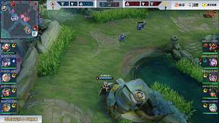 项和部分保 项和部分保