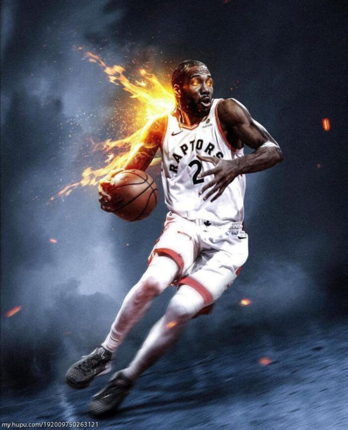 结论要点 结论要点